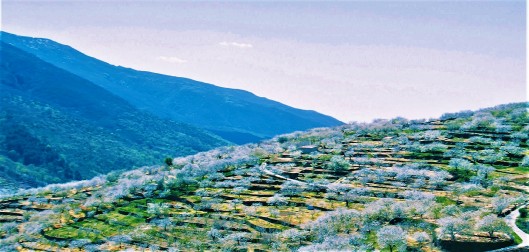 Valle del Jerte, Cáceres (Extremadura)